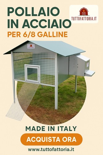Pollaio per galline - per,