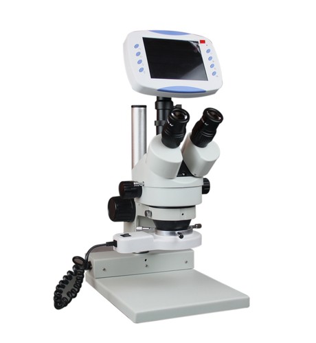 Microscopio digitale