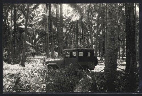 Cartolina fotografica auto