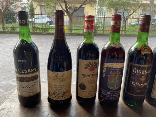 Dolcetto alba pio cesare - dolcetto,