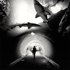 Acquario, Studio 1, Dubai