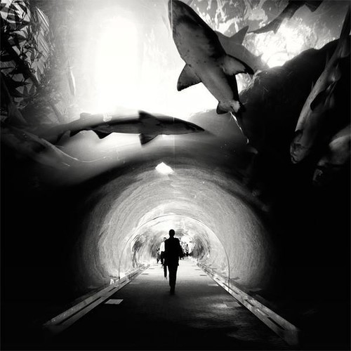 Acquario studio dubai - studio, 1,