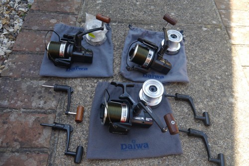 Daiwa 3000 mulinelli hex - ss,