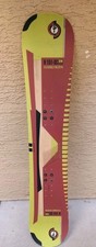 Vintage Santa Cruz Snowboard H