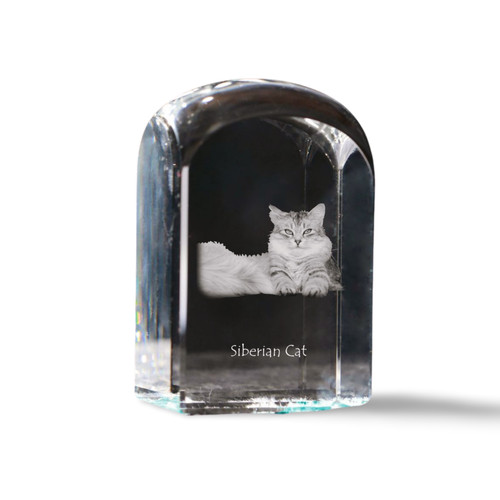 Gatto siberiano cristallo - gatto,