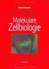 Molekulare Zellbiologie von Lodish, Harvey, Berk, A... | Buch | Zustand sehr gut