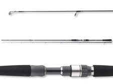 Daiwa Freams Spin 2,70M 5-35G