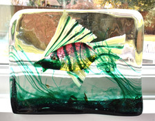 Blocco serbatoio pesci angelo