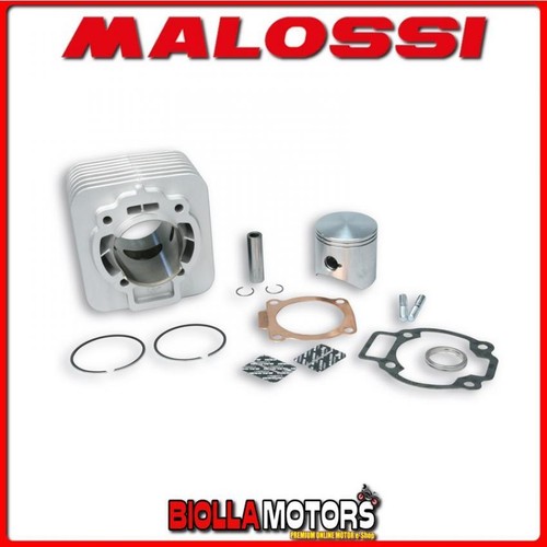 318236 gruppo termico malossi - 318236,