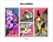 Orchidee