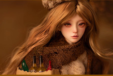 Set completo bambola con snodi