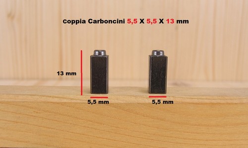 Coppia carboncini spazzole