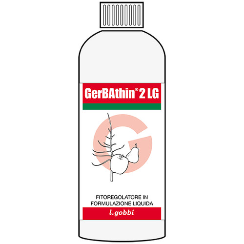 Gerbathin l gobbi - lg, 1