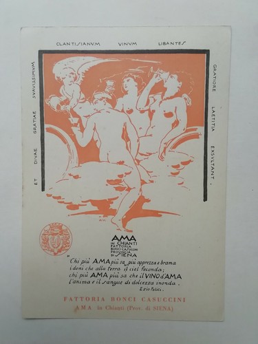 Fattoria bonci casuccini - bonci, siena