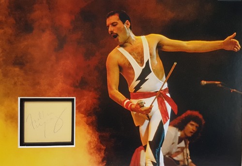 Freddie mercury signed - freddie, 14x10