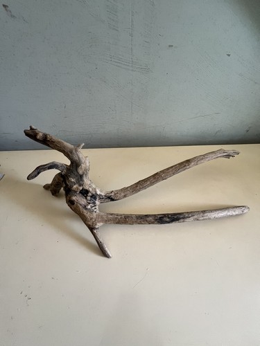 Legno mare decorativo - legno, di