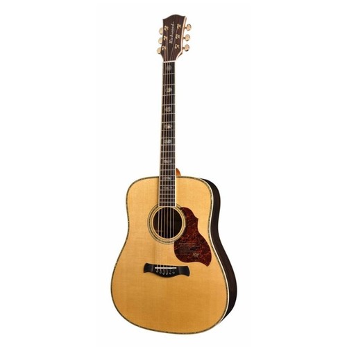 Richwood va chitarra - richwood,