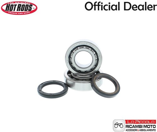 K095 kit cuscinetti - kit,