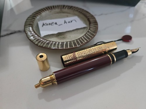 Penna stilografica aurora - penna,