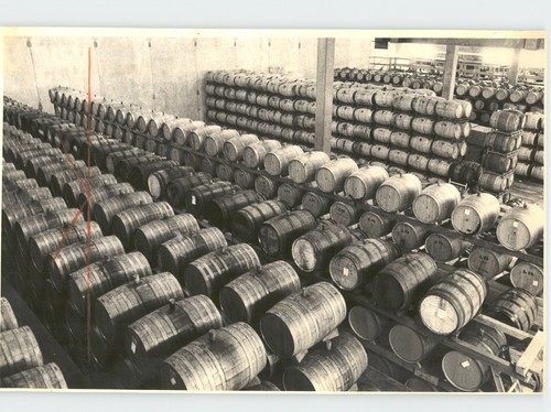 Botti rovere vino - botti, di