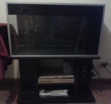 Acquario 100 Litri in vetro + attrezzatura + arredamenti (grandi dimensioni)