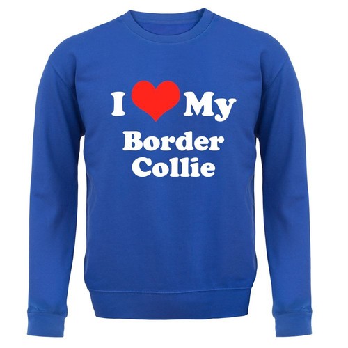 Love border collie - my,