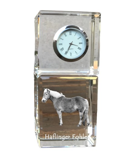 Haflinger fohlen orologio - fohlen,