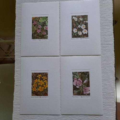 Cartella grafiche litografie - cartella,