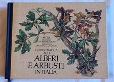 Guida pratica agli alberi e