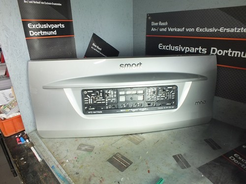 Pannello portellone smart 451 - portellone,