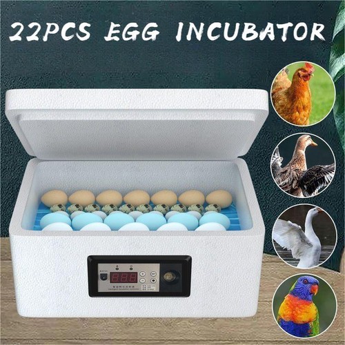 Incubatrice per uova cova - incubatrice,