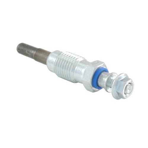 246210440 candelletta champion - candelletta,