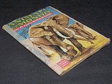 ANIMALI DEL MONDO PER LE