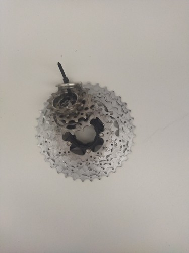 Pacco pignoni cassetta shimano - pignoni,