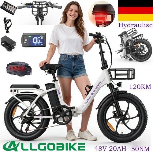 Bicicletta elettrica