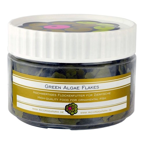 Ricordea farm green algae - green,