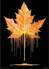 Giuseppe Fortunato (1956, Italy) "Leafe of life"