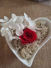 Rosa Eterna Stabilizzata In