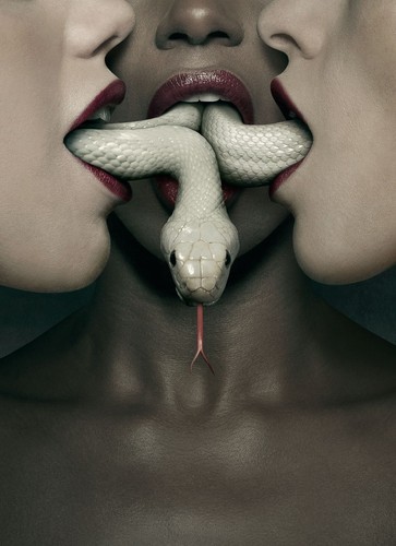 American horror story coven - horror,