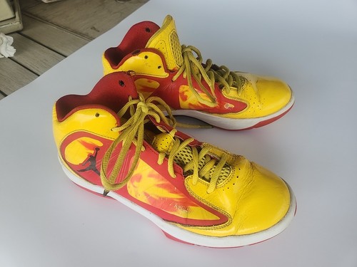 Jordan aero flight - aero, hogan