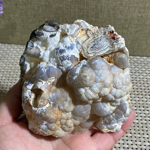 Bonsai suiseki gobi 306g - bonsai,
