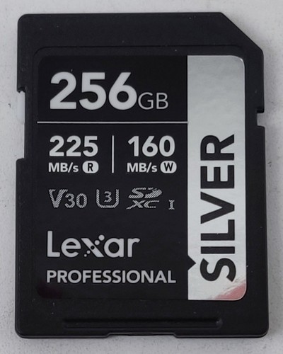Scheda memoria 256 lexar - di,