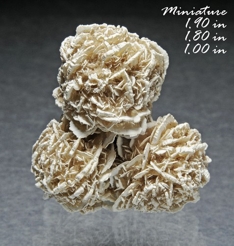 Messicano selenite rosa - rosa, gesso