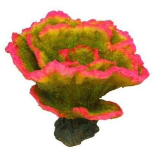 Montipora decorazioni - decorazioni, in