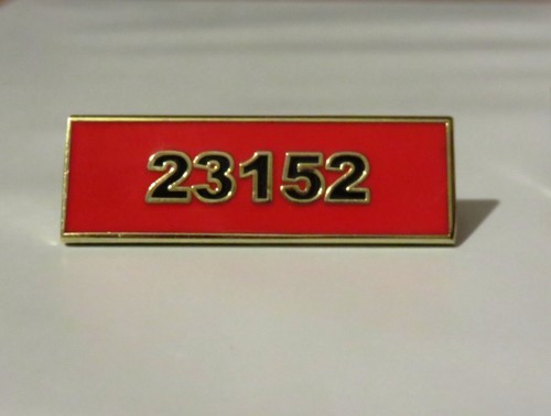 23152 spilla premio dui numero - spilla,