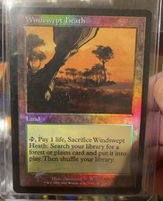 Windswept Heath Onslaught Foil