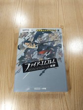 Fire emblem awakening nintendo - fire,