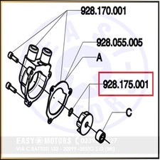 POLINI 928.175.001 GIRANTE