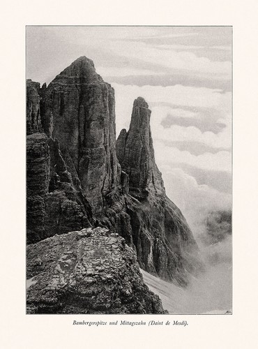 Punta bamberga dente - punta,