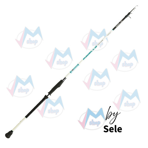 Canna pesca barca e - pesca,